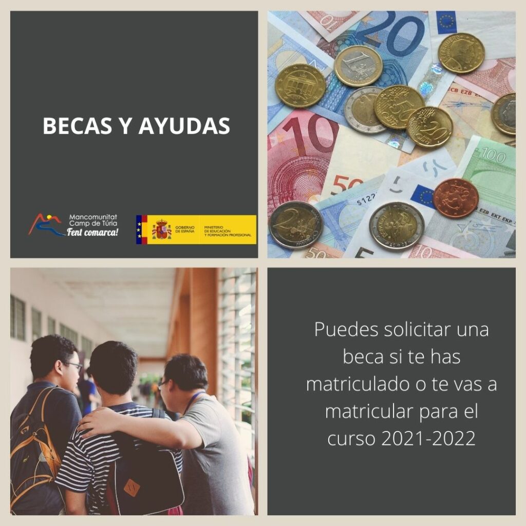 Cuáles son las opciones de becas y ayudas financieras disponibles para