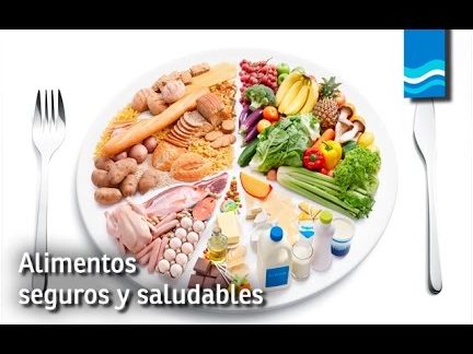 Maestrías en seguridad alimentaria para especialización