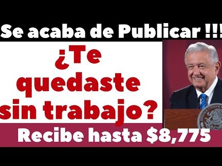 Apoyo a desempleados por AMLO: ¿Qué es y cómo funciona?