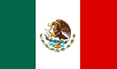 Apoyos económicos del gobierno en México: ¿cómo acceder a ellos?