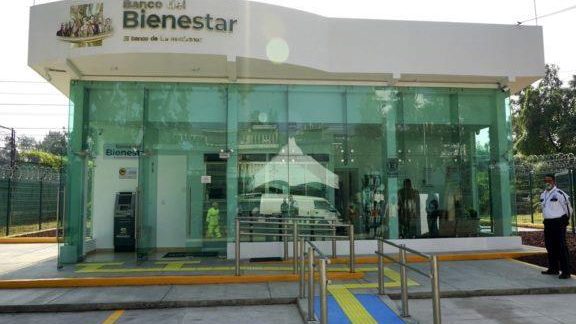 Programas de Bienestar en Guadalajara: Opciones de Apoyo Social