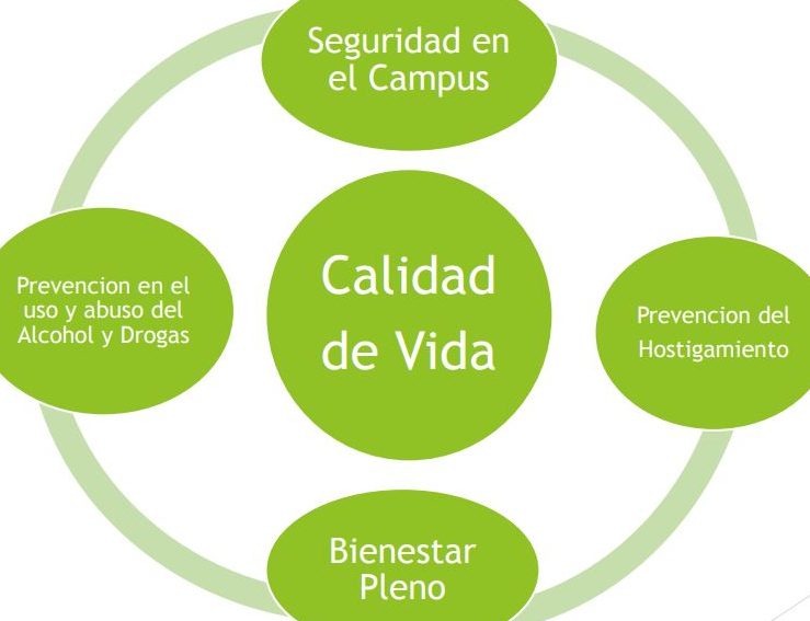 Módulos de bienestar para mejorar tu calidad de vida