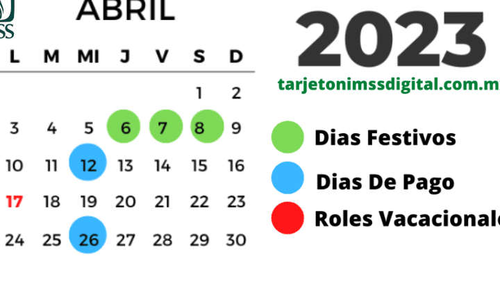 Calendario de pago para activos del IMSS: ¿Cuándo y cómo consultarlo?