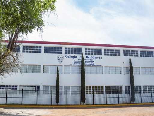 Guía completa para encontrar el mejor colegio en Morelia para tu hijo