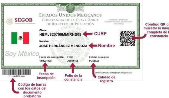 Obtén tu CURP de forma gratuita en Tamaulipas: Paso a paso
