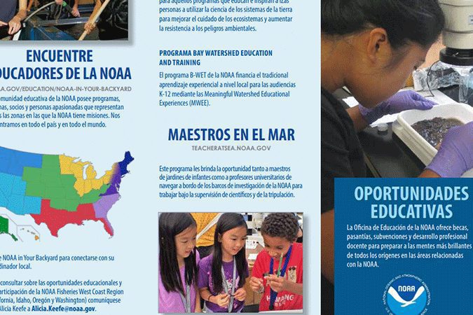 Becas para estudiar en escuelas particulares: descubre las opciones