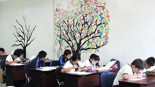 ¿Cuál es el nivel educativo más alto que se puede alcanzar?