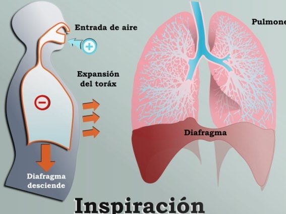 Convocatoria Chavos que Inspiran: ¡Destaca y haz la diferencia!