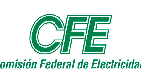 Prácticas profesionales en CFE: Impulsa tu carrera con información clave