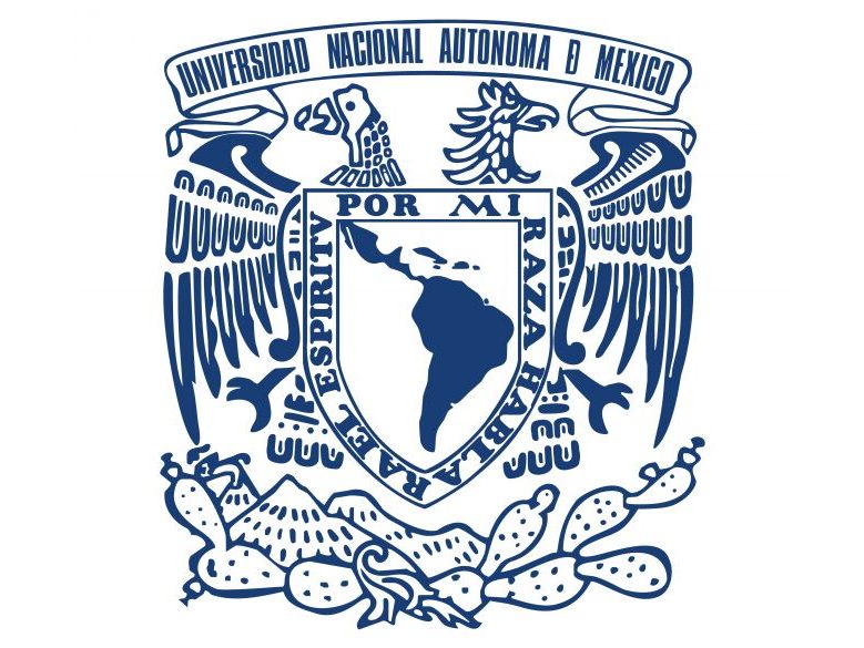 Pasos para obtener becas en la UNAM a través de www.dgire.unam.mx