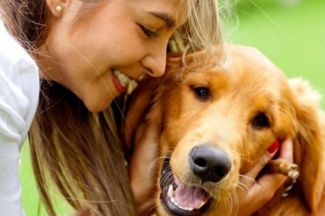 Las mejores veterinarias en Los Mochis: cuidado de mascotas de calidad