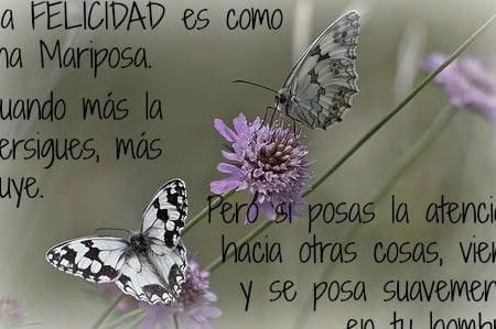 Citas inspiradoras para tu bienestar y positividad