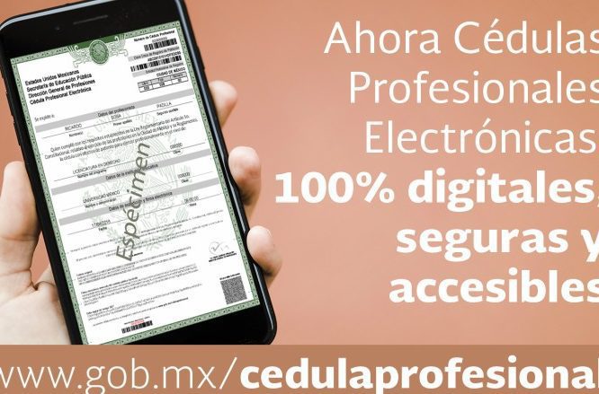 Cómo tramitar y obtener cédulas profesionales en el IPN 1 Guía para tramitar y obtener cédulas profesionales en el IPN
