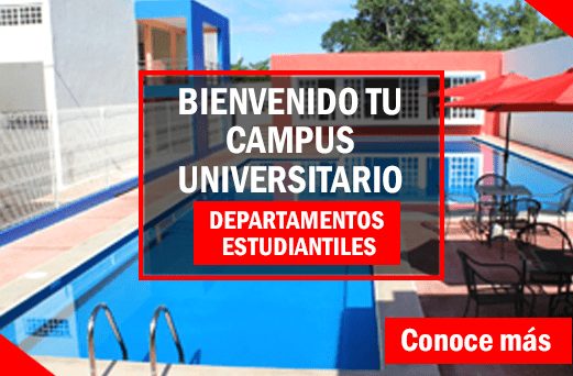 Las mejores universidades en Valladolid, Yucatán: una guía completa