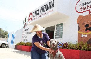 La mejor veterinaria en Tláhuac para el cuidado óptimo de tus mascotas