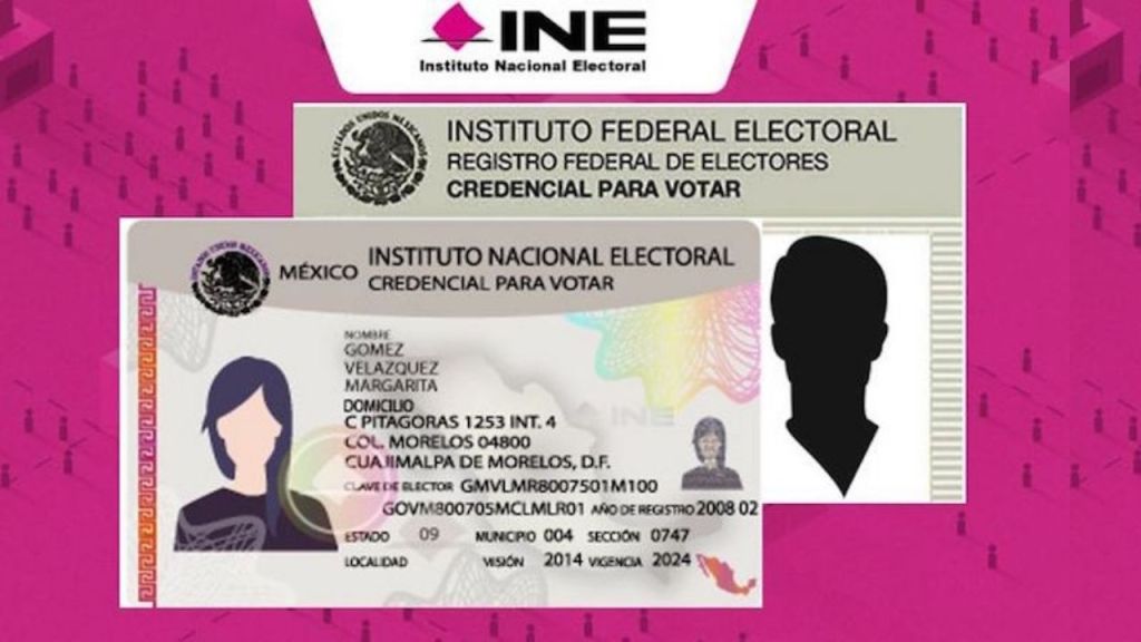 El proceso de reincorporación de la INE: pasos y requisitos