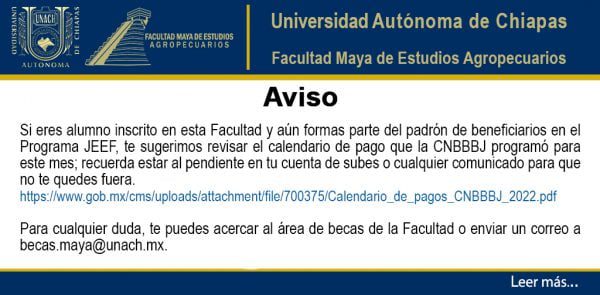Fecha de pago del Cnbbbj y cómo obtenerla