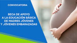 Becas financieras para mujeres embarazadas: ¡Encuentra apoyo durante tu embarazo!