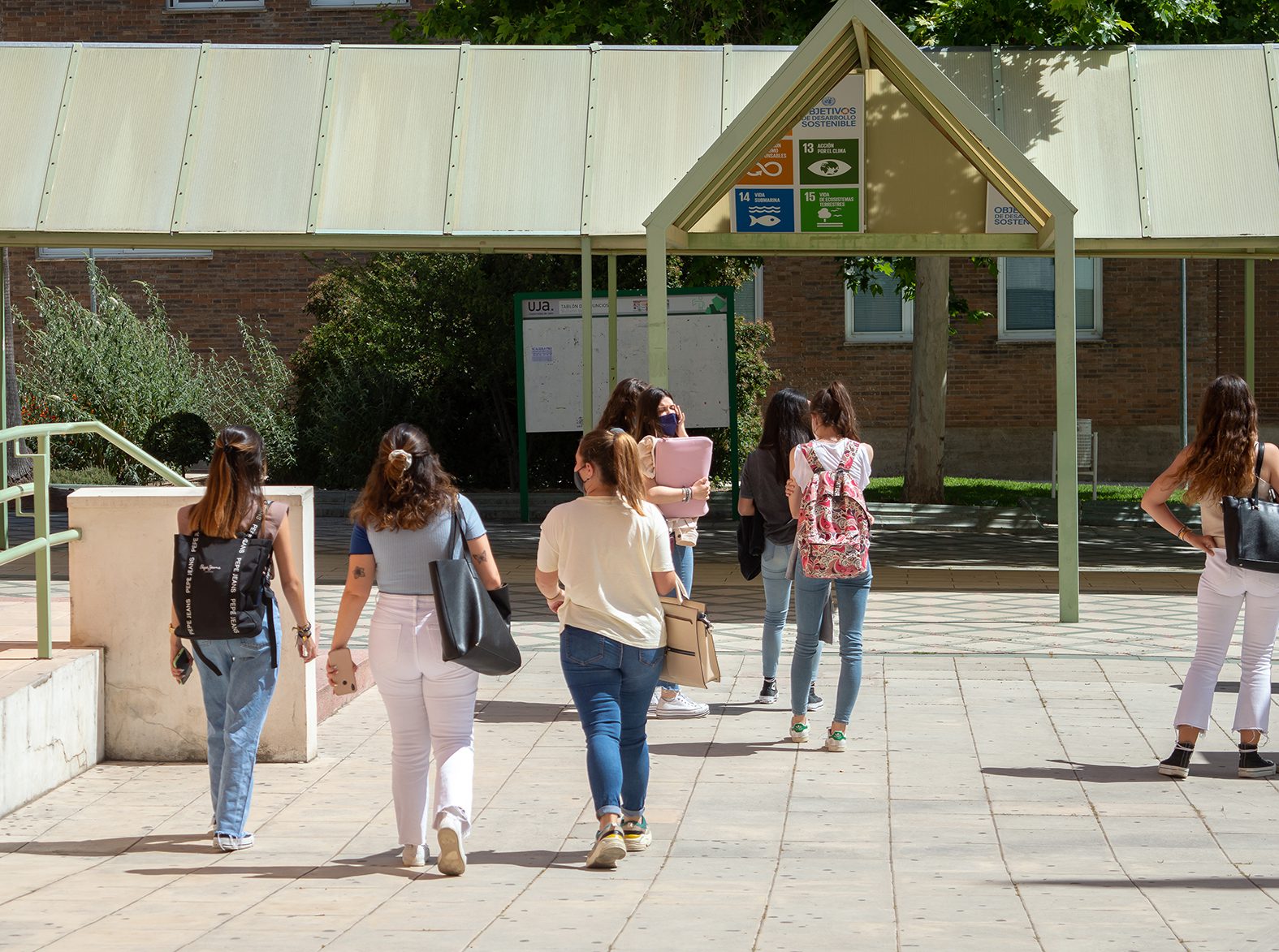Amplia selección de carreras en la Universidad de Jaén: diversas opciones académicas