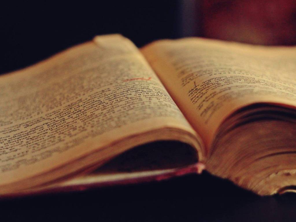 Apellidos con la letra D: lista de apellidos que empiezan con «D»