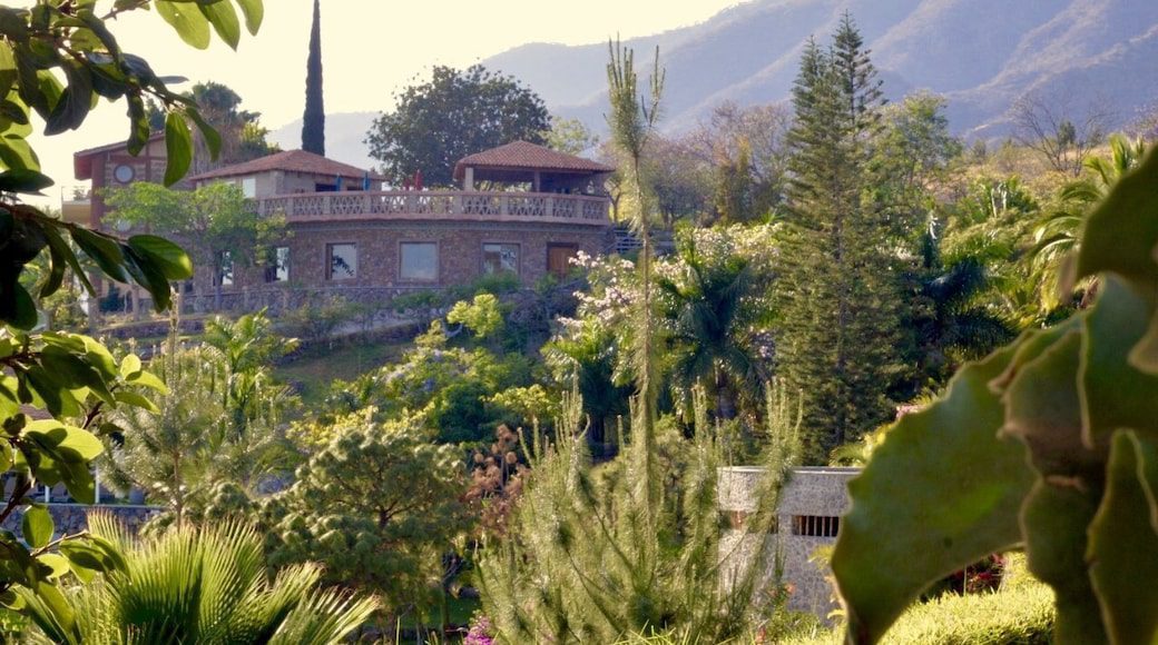 atracciones turisticas imperdibles en san juan cosala jalisco