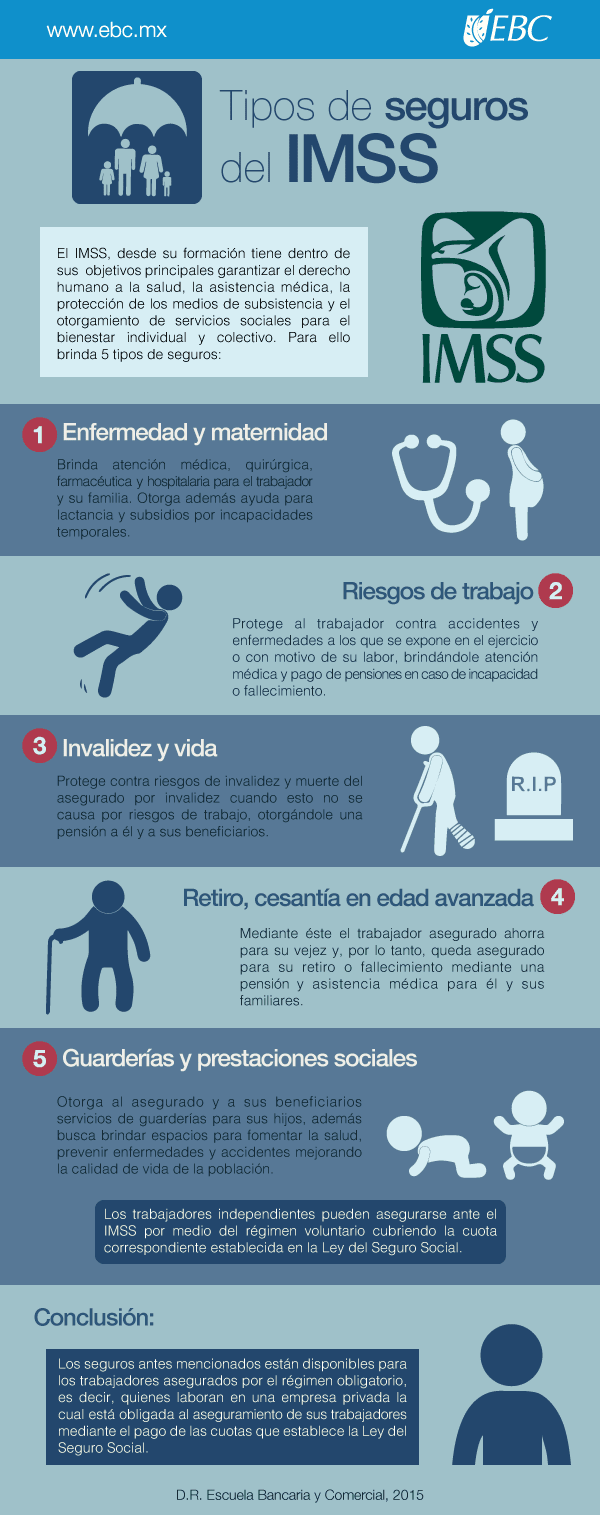 Avances y retos del IMSS: Nuevas medidas para la seguridad social hoy