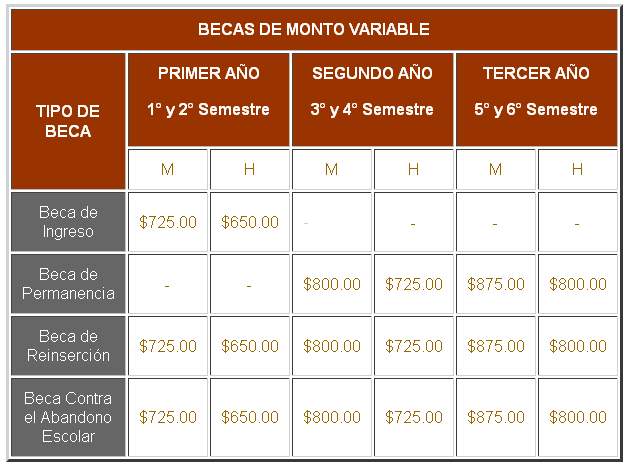 Cuál es el monto de las becas de bachillerato y cómo se calculan 1 Becas de bachillerato: Monto y cálculo de asignación económica