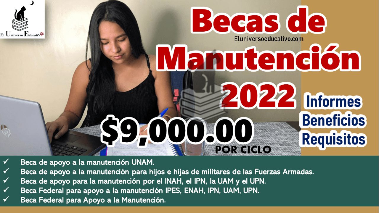 Becas de manutención: opciones disponibles en la actualidad