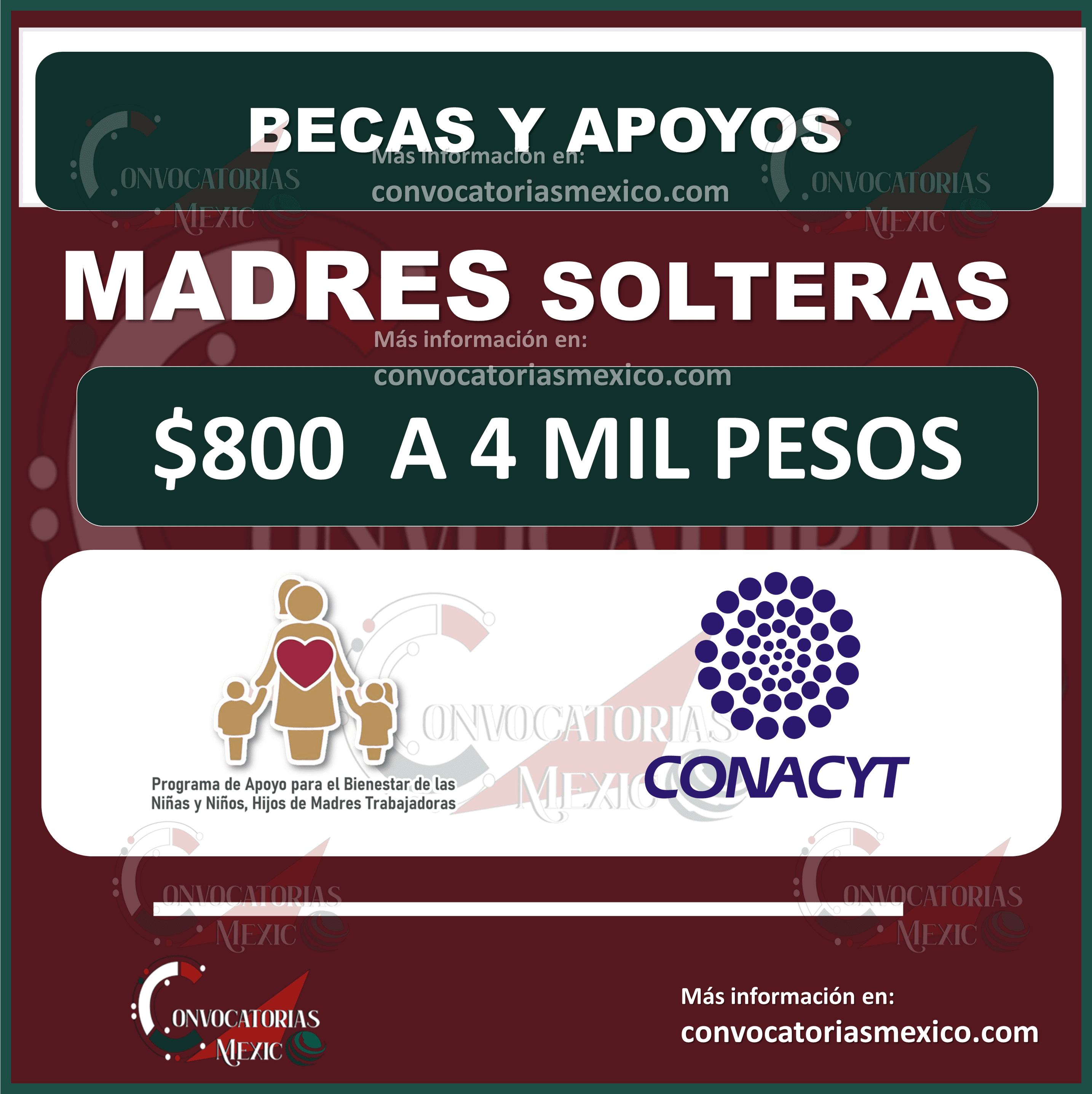 Becas para madres solteras: beneficios y requisitos de Conacyt