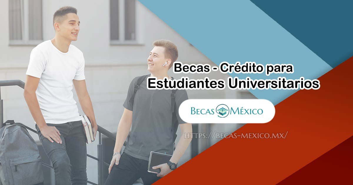 Becas para titulados universitarios: ¡Conoce financiamiento!