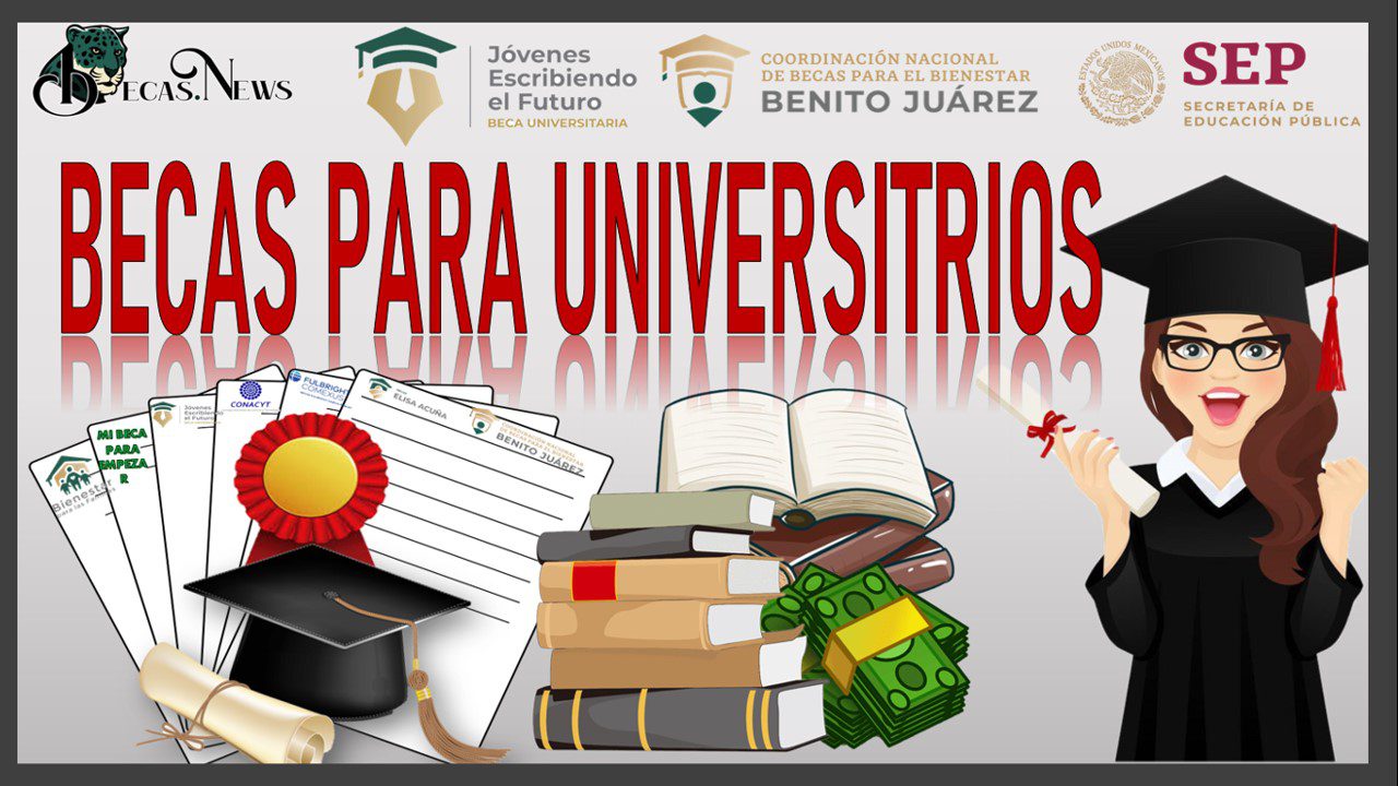 Becas universitarias del gobierno: opciones para estudiantes