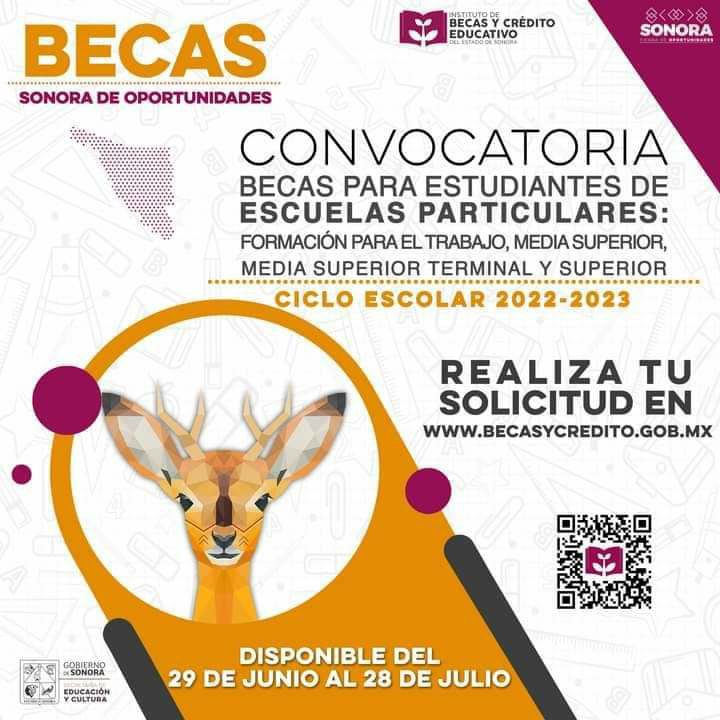 Becas y crédito educativo: ¿Cuáles son tus opciones?