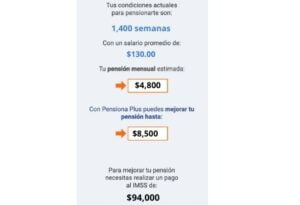 Cálculo de años equivalentes a 1250 semanas cotizadas