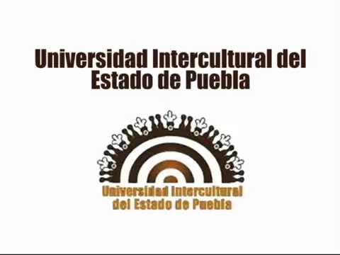 Carreras disponibles en la Universidad Intercultural de Puebla
