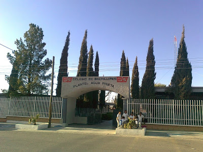 cobach agua prieta educacion de calidad en sonora