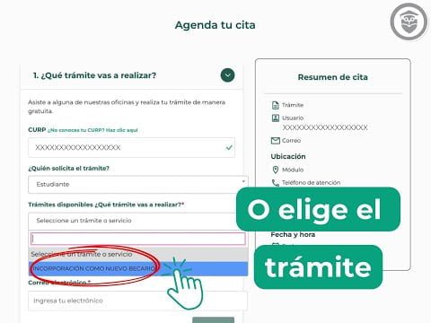 Cómo darse de alta en becas media superior