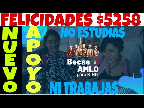 Cómo obtener una beca si no estudió ni trabajo