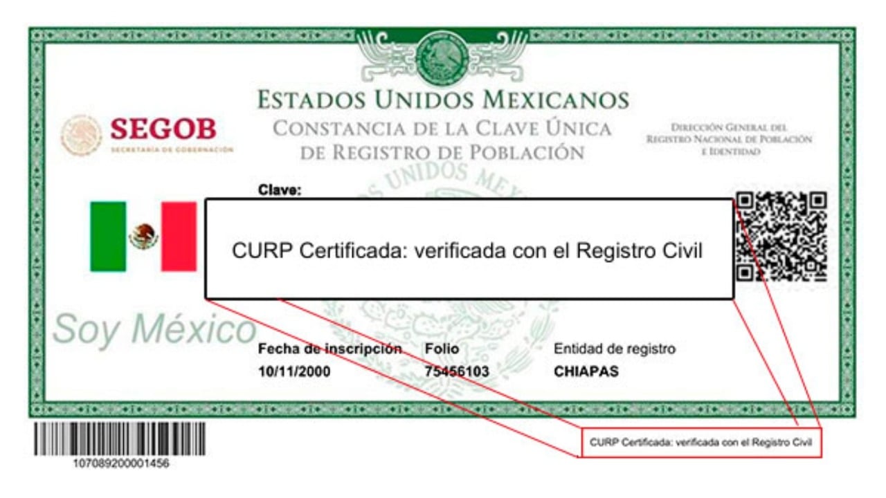 Cómo obtener y certificar mi CURP de forma oficial: Pasos y requisitos