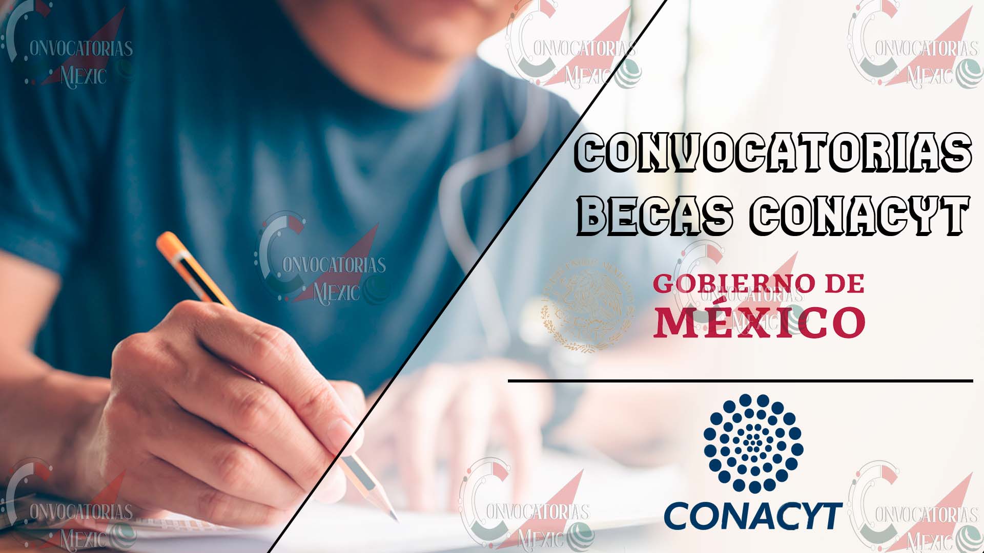 Consecuencias de reprobar materia con beca Conacyt