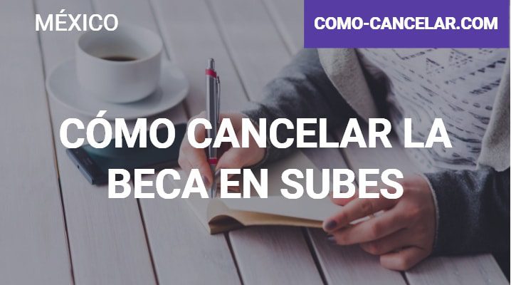 Consejos para buscar becas si no encuentras en SUBES