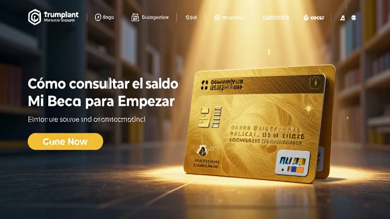 Para consultar tu saldo, indica la información necesaria