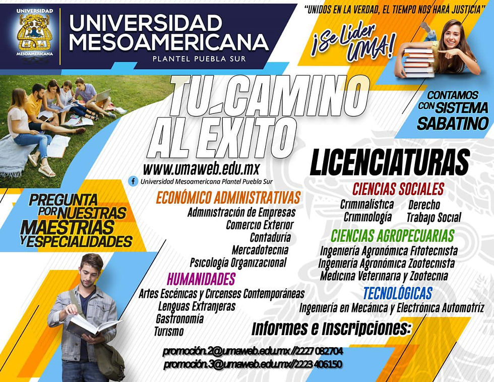 cuales son los programas de estudio ofrecidos por la universidad mesoamericana en puebla sur