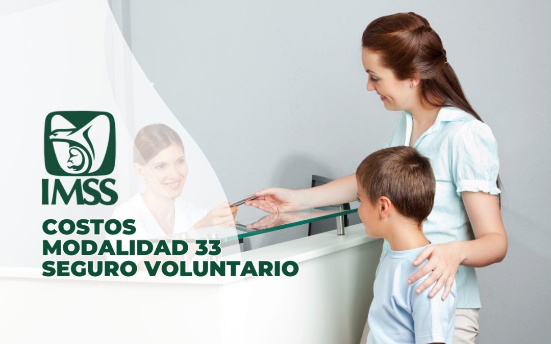 Cu Les Son Los Requisitos Para Obtener Un Seguro Voluntario Imss Para