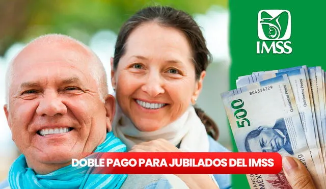 cuales son los requisitos para obtener una pension doble del imss