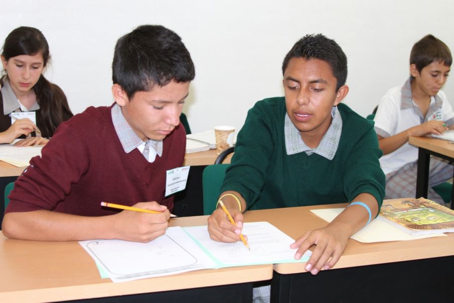 cuando inicia la relacion tutora entre estudiantes de forma oficial