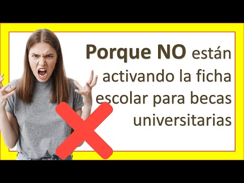 cuantas becas puede tener un estudiante