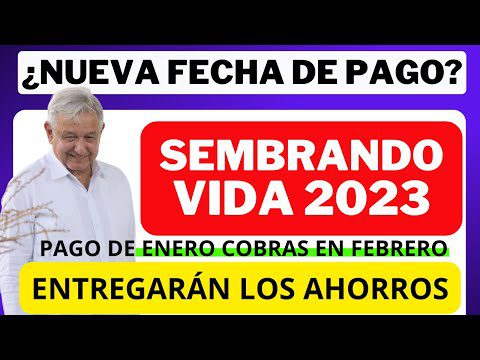 Cuánto pagan en jóvenes sembrando vida