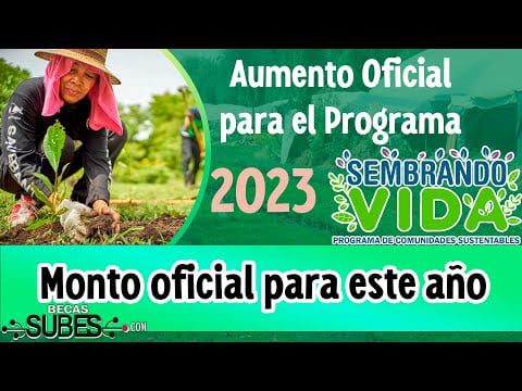 Cuánto pagan en Sembrando Vida 2023