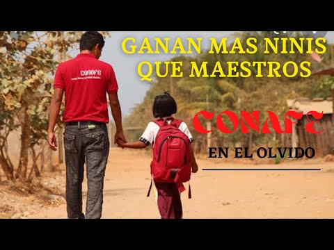 Cuánto pagan mensualmente en el CONAFE