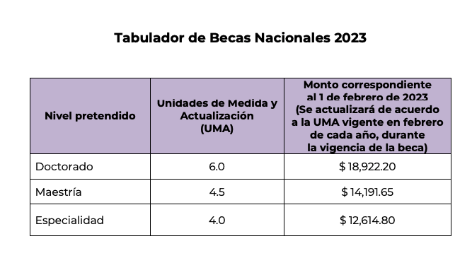 cuantos anos dura la beca conacyt